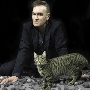 moz cat2